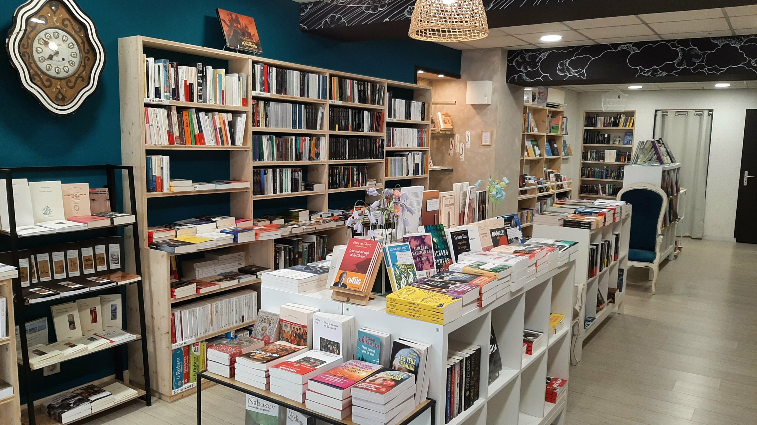 LIBRAIRIE AU PLAFOND
